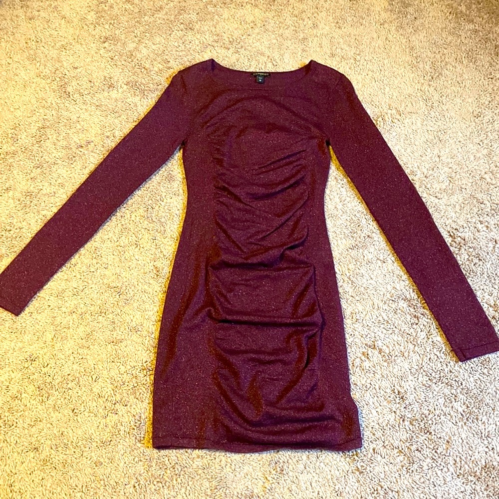 Deep purple sparkly long sleeve dress